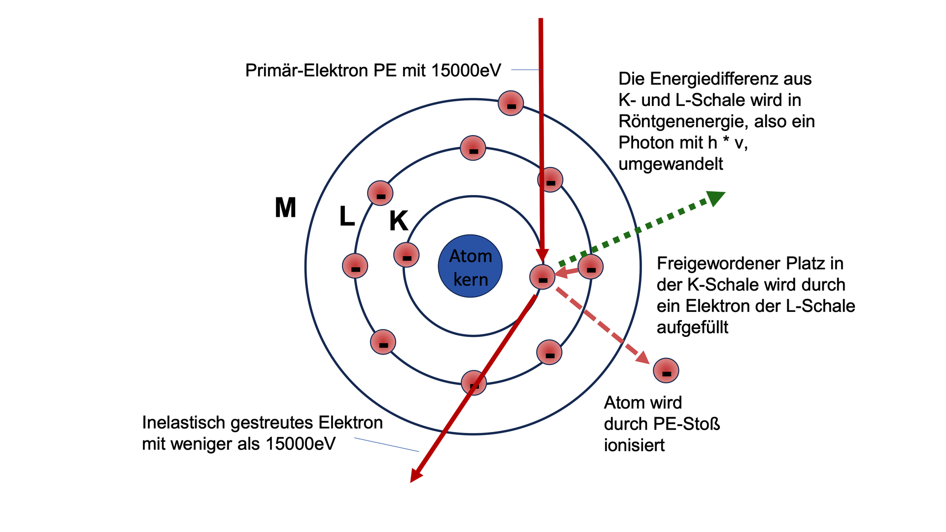 Auf drei Kreisen um den Atomkern, die von innen nach außen mit K, L, M gekennzeichnet sind, befinden sich Elektronen. Durch Pfeile wird veranschaulicht, was passiert, wenn ein Elektronenstrahl auf dieses Atom trifft. Beschriftung des einfallenden Pfeils: 