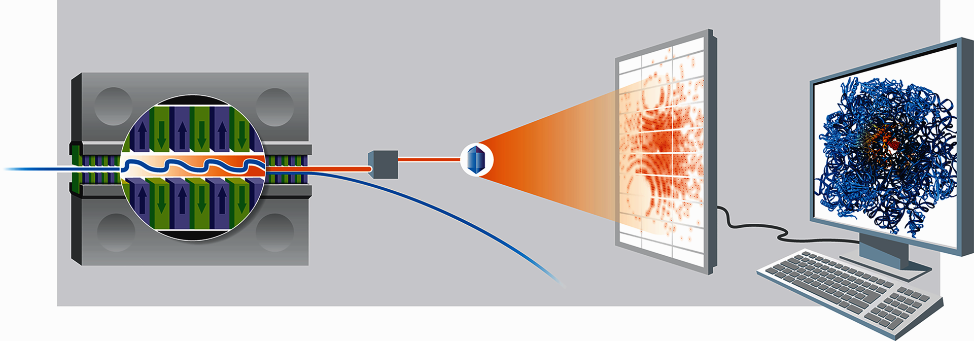 Links ist eine Magneteinheit mit wechselnden Farben und Pfeilen gezeigt. Hindurch führt im Slalom eine blaue Linie, die den Kurs der Elektronen in diesem Undulator darstellt. In der Mitte trifft ein orangefarbener Röntgenstrahl auf eine Probe. Rechts davon ist ein Streubild gezeigt, dahinter ein Computerbildschirm mit einer Molekülstruktur.